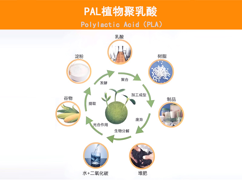 可降解水果保鮮棉|可降解水果保水棉