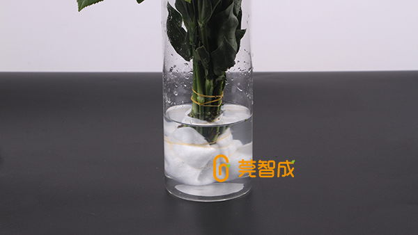 鮮花怎么保水？教你一個(gè)便捷招