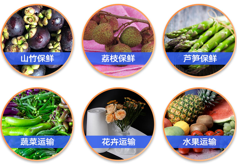 水果保鮮棉--應用領域