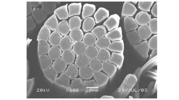 可持續(xù)、新工藝，世界非織造行業(yè)的創(chuàng)新趨勢與發(fā)展機會
